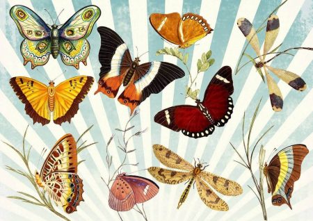 14 Amazing Facts about Butterflies You Never Knew 14 Amazing Facts about Butterflies You Never Knew