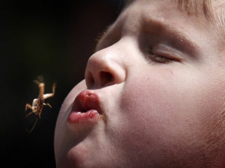 32 Dumbest Sports Ever Created