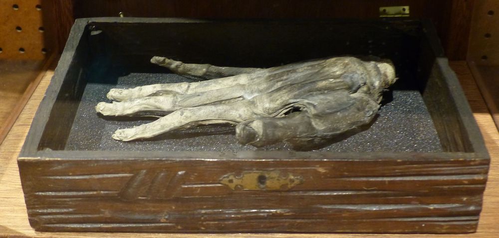 Hand of Glory - creepy facts