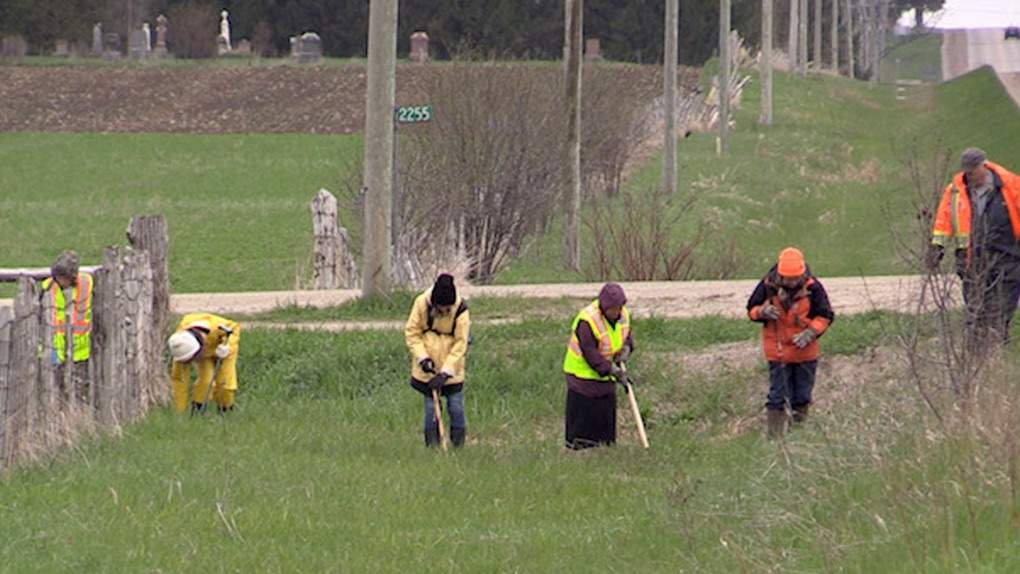 Please Bring Me Home volunteers searching for Lois Hanna
